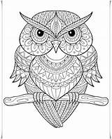 Owl Sharpie Arad sketch template