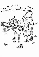 Cow Coloring Pages Kids Printable sketch template