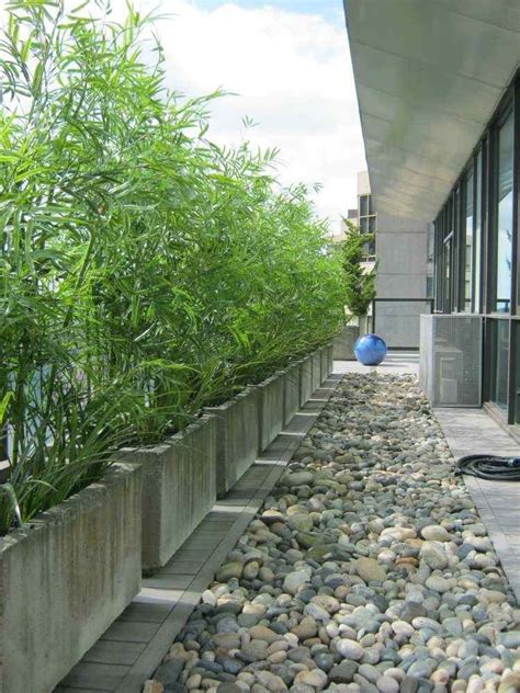 canas de bambu  decorar patios  terrazas