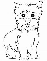 Coloring Yorkie Pages Yorkshire Printable Terrier Dog Puppy Color Teacup Drawing Yorkies Cute Colouring Maltese Dessin Dogs Puppies Print Bichon sketch template