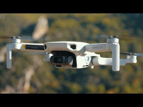 dji mavic mini ab  preisvergleich von pricexde