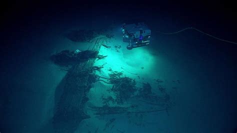 troubling discovery   deepest ocean trenches realclearscience