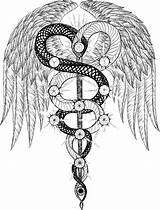 Caduceus Tattoo Drawing Medical Caduceo Symbol Tattoos Snake Egyptian Wings Tatoo Drawings Google Kabbalah Kundalini Snakes Dna Tatto Board Ouroboros sketch template