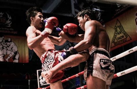 Тайский бокс муай тай история правила тренировки и техника