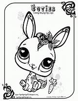 Pages Coloring Animal Cute Printable Animals Colouring Library Clipart Baby sketch template