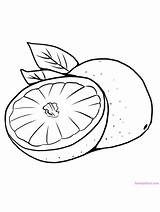 Pomelo Orange Means Grapefruit Gaddynippercrayons sketch template