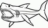 Shark Coloring Pages Printable Megalodon Sharks Kids Drawing Print Angry Big Clipart Tiger Drawings Tail Etk Coloringhome Great Clip Sketch sketch template