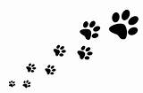 Paw Prints Clipart Cat Background Library sketch template