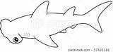 Hammerhead Coloring Illustration Stock sketch template