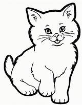 Katze Katzen Ausmalbilder Vorlagen Süße Malvorlagen Zeichnung Zeichnen sketch template