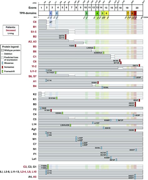 ttca mutations grouped  patient outcomes patient naming codes  scientific