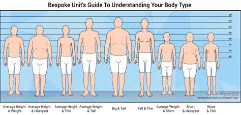 ultimate guide  male body types understand  bodys frame