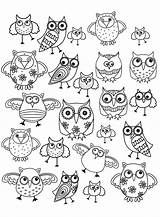 Hibou Doodling Colorare Adultos Owls Coloriages Disegni Chouette Adulti Gufi Justcolor Erwachsene Malbuch Eulen Doodles Hiboux Chouettes Gekritzel Primanyc Jolis sketch template