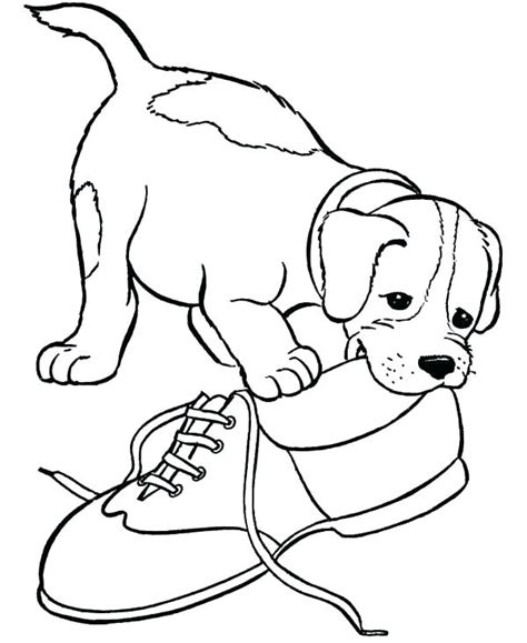 beagle dog coloring pages  getcoloringscom  printable