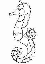 Seahorse Marinho Cavalo Seepferdchen Zeepaardje Kleurplaat Konik Morski Kleurplaten Disegno Desenho Zum Marino Cavalluccio Supercoloring Ausmalbild Zeichnen Categorias sketch template