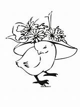 Coloring Wearing Hat Chick Drawing Getdrawings sketch template