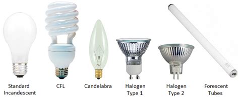 learn     types  light bulbs