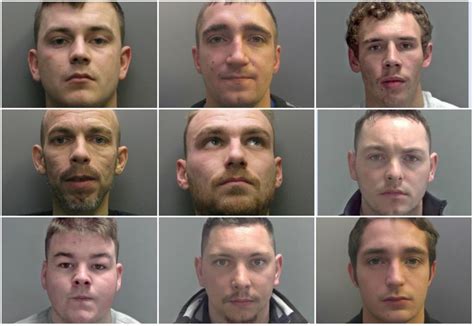 family gang carried   burglaries   months bbc news
