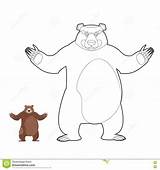 Grizzlies Orso Orsi Selvaggia Nello Felice Buona Lineare Vettoriale Divertente Divertimento sketch template