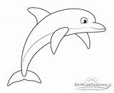 Dolphin Drawing Draw Line Step Tail Flippers Dolphins Eye Fin Bottom Top Body Color Shapes Split sketch template