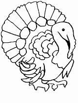 Coloring Turkeys Pages Animals Turkey sketch template