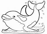 Delfines Dolphin Dolphins sketch template