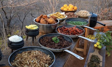 vegan african bush dinner inspired recipes proveg south africa