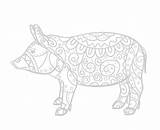 Coloring Pig Piggy Illustration Mandala Vector Adults Zentangle Book Creation sketch template