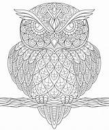 Sowa Antystresowa Zentangle Kolorowanka Druku Zentagle Wydrukuj Malowankę sketch template