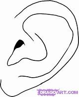Ear Draw Step Realistic Human Ears Drawing sketch template