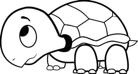 cartoon coloring pages  turtle drawing turtle coloring pages