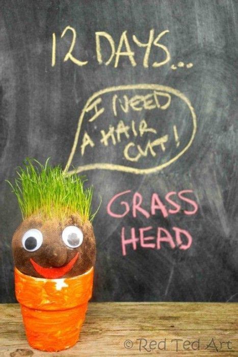 diy grass head creations    perfect craft  spring