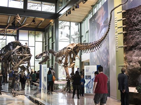 the witte museum is hosting a welcome back parade to