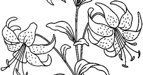coloring pages realistic flowers coloringpages