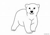 Bear Coloring Pages Baby Printable sketch template