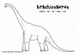 Brachiosaurus Herbivore Necked Crafts 99kb sketch template