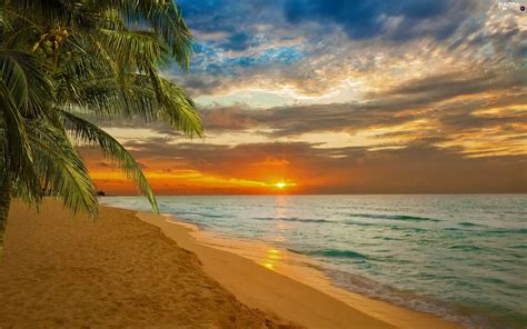 great sunsets beaches palms sea beautiful views wallpapers