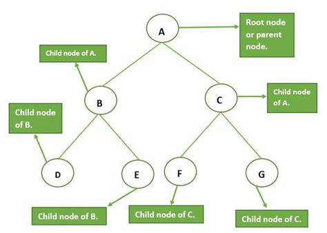 types  nodes   tree geeksforgeeks