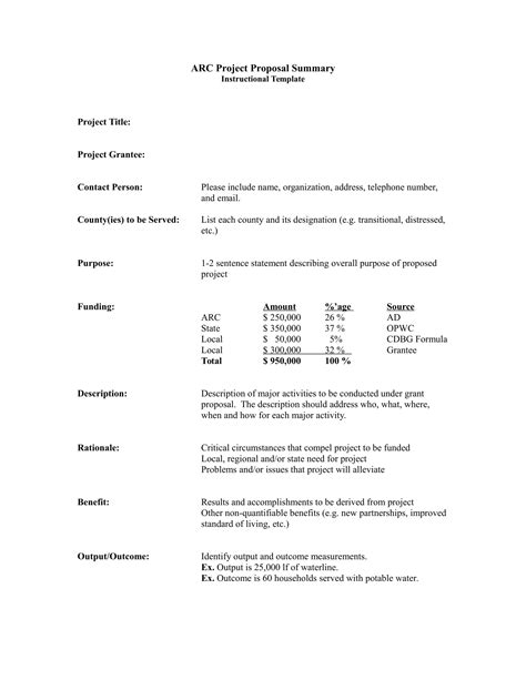 project summary  examples format
