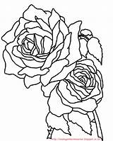 Bunga Mawar Mewarnai Untuk Paud Seni Jiwa Semoga Meningkatkan Bermanfaat Kreatifitas sketch template