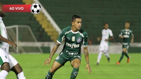 Guarani Par X Palmeiras Ao Vivo Saiba Como Assistir Online E Na Tv
