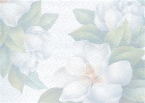 gambar bunga background transparan gambar bunga