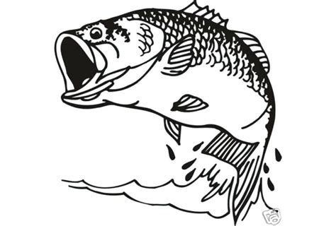 printable bass fish coloring pages  printable coloring pages