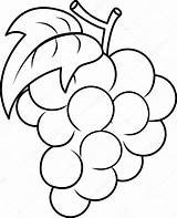 Uvas Grapes Grape Uva Colorir Animadas Frutas Clipart Bunch Martino Ape Disegni Animada Manualidades Apple Cristianas Lenmdp Tarjetas sketch template