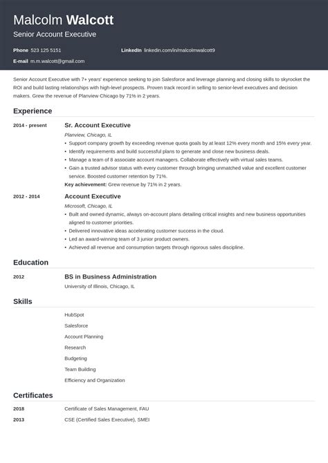 account executive resume sample   examples