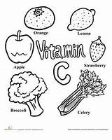 Vitamin Foods Glow Grow Go Drawing Rich Vitamins Food Worksheet Kids Color Preschool Worksheets Easy Drawings Facts Getdrawings Healthy Groups sketch template