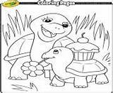 Pages Coloring Crayola Turtle Mommy Animal Printable sketch template