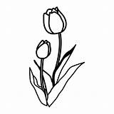Ausmalen Fensterbilder Osterglocken Kostenlose Tulpe Blume Malvorlage Kinderbilder sketch template