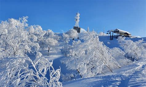 nozawa onsen good nozawa holidays