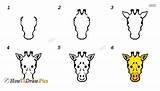Giraffe Draw Drawing Face Head Howtodraw Steps Simple Clipartmag sketch template